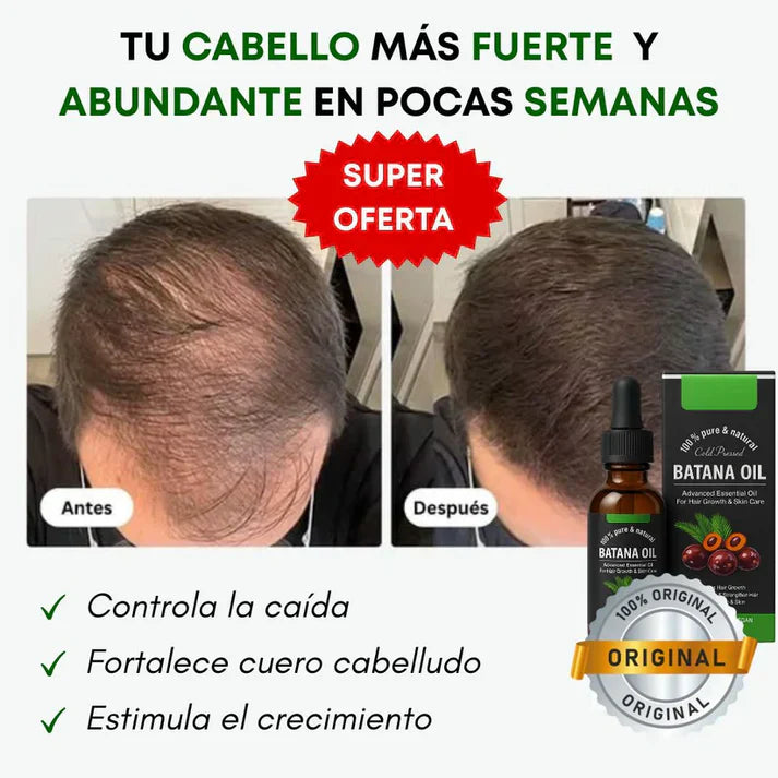 Encabezado